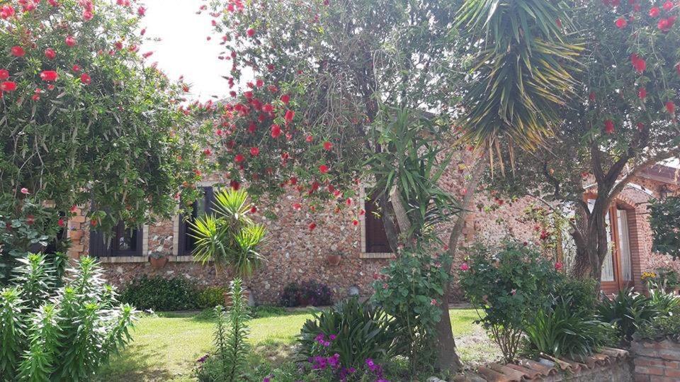 Agriturismo Pingitore Luzzi Eksteriør bilde