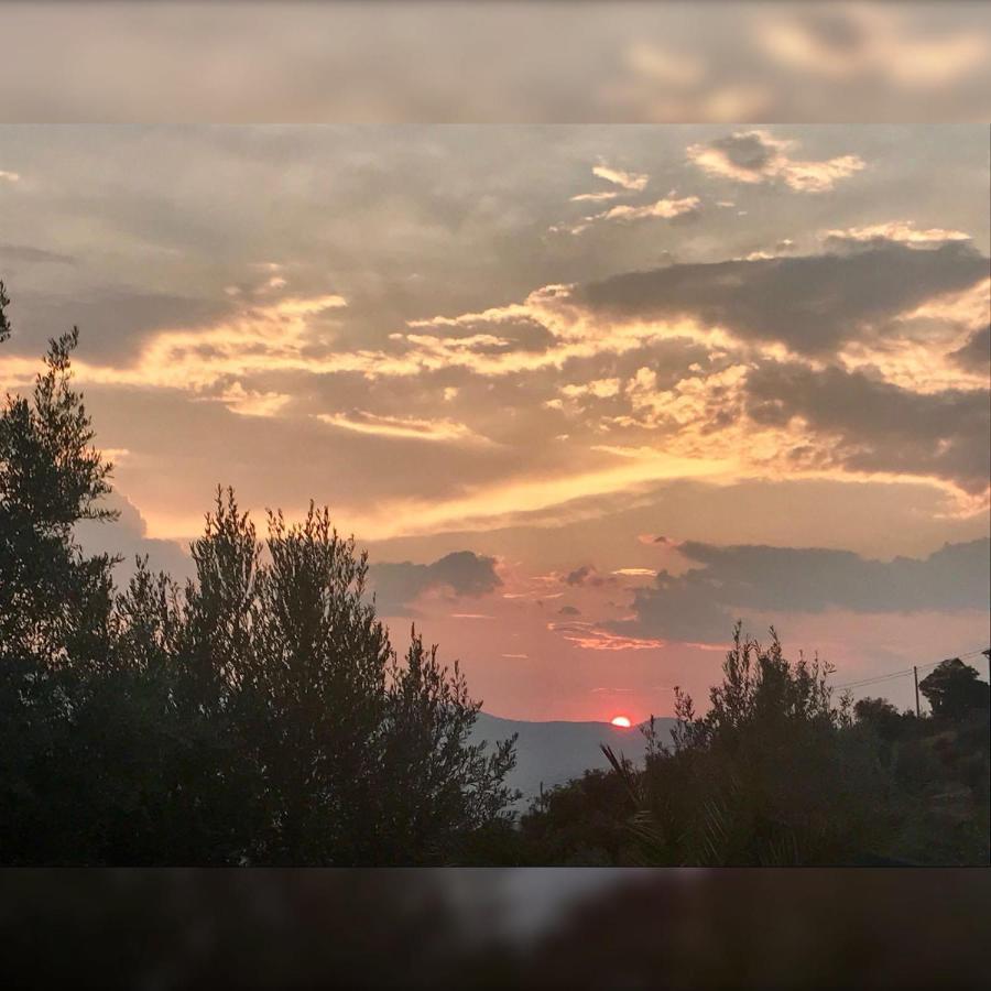 Agriturismo Pingitore Luzzi Eksteriør bilde