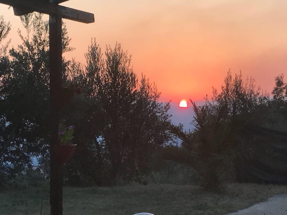 Agriturismo Pingitore Luzzi Eksteriør bilde